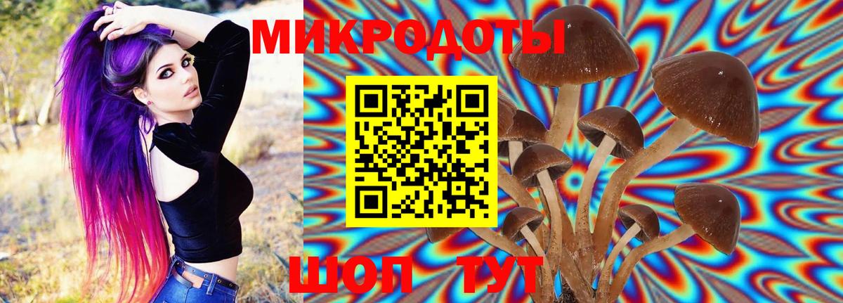 Липецк  Псилоцибиновые грибы Magic Shrooms  Вход с VPN 