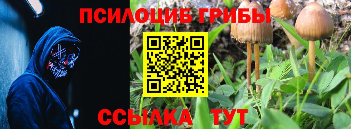 Галлюциногенные грибы мицелий Липецк